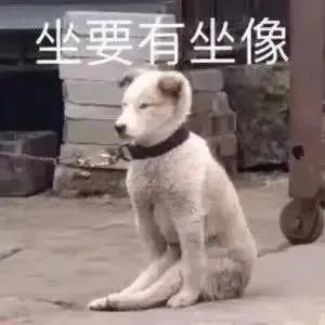 可爱的表情包:没有撤退可言
