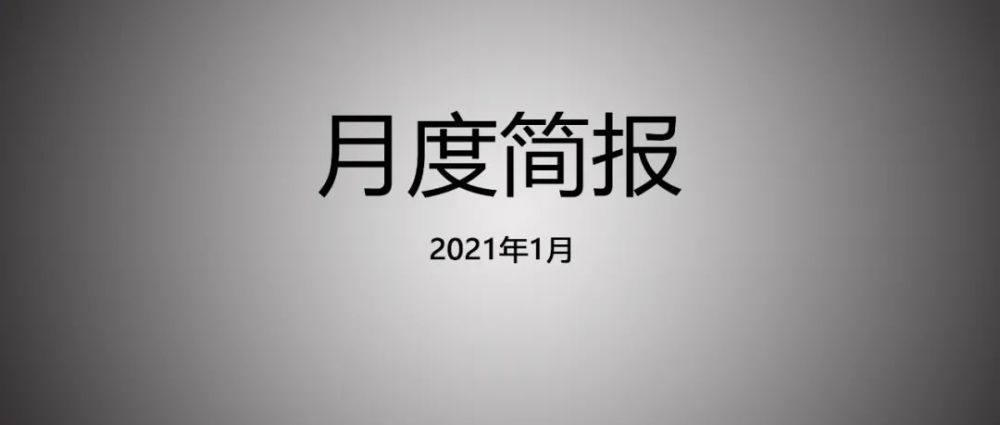 有进步有迷惑有无奈——月度简报|2021年1月