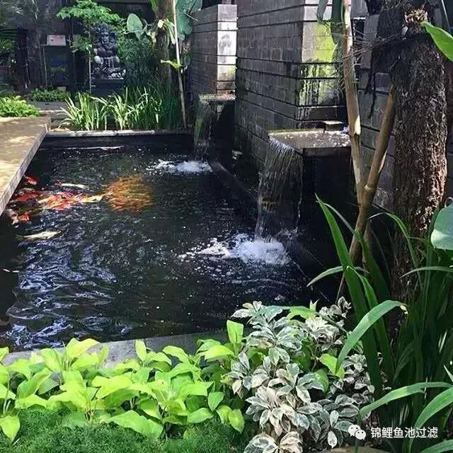 这些漂亮的庭院锦鲤鱼池,是你穷极一生的梦想吗?
