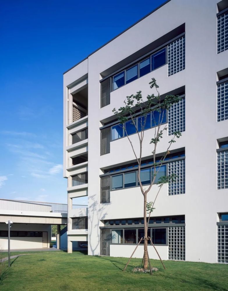 中小学建筑设计:上海同济大学附属实验小学/案例