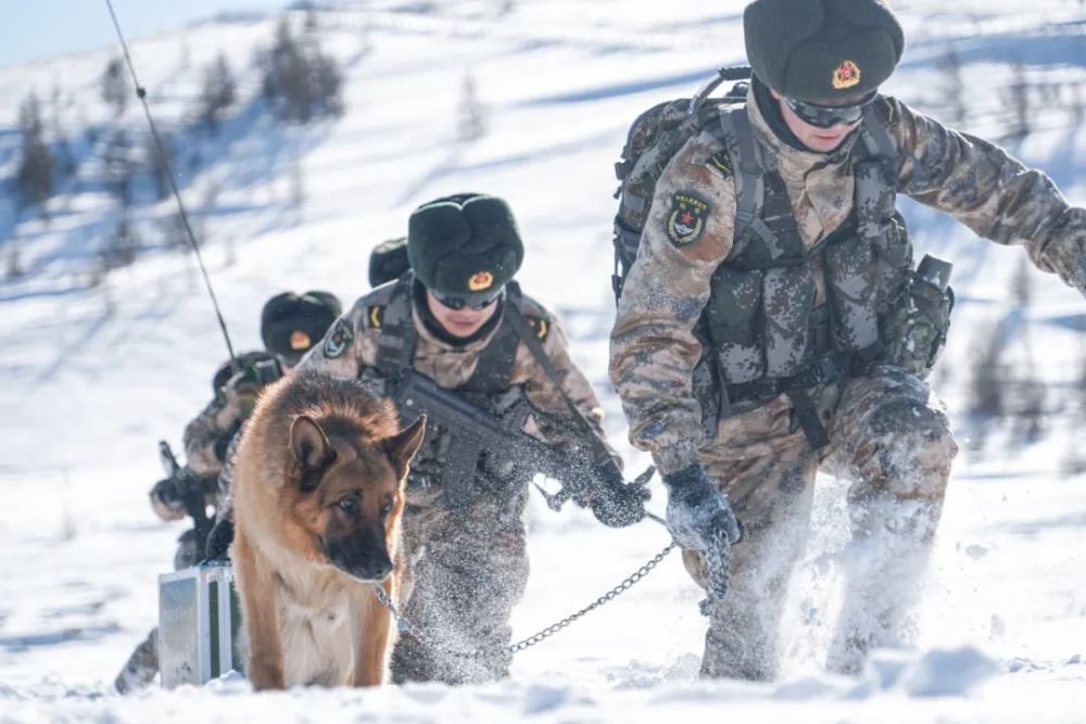 坚守战位!边防官兵巡逻在雪山之巅