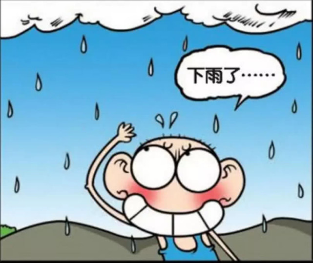 爆笑解忧:呆头在大象身子下躲雨,比淋湿更惨