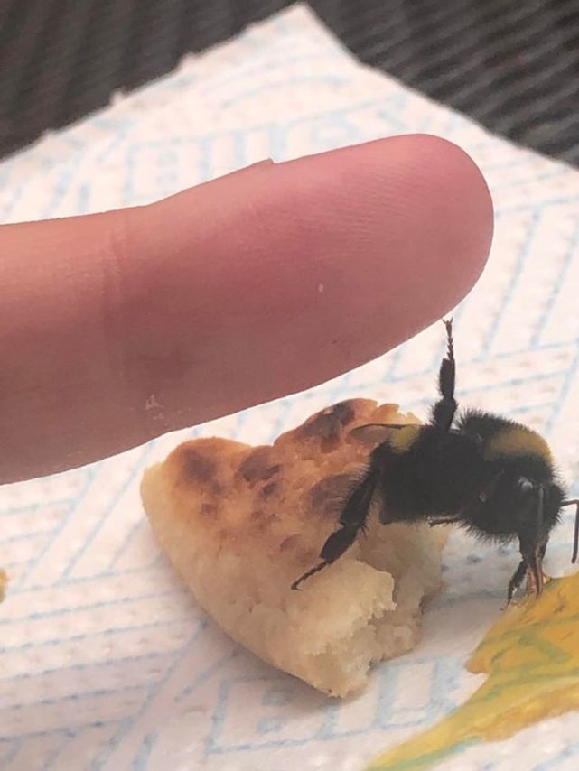20张治愈系的图片,一扫你心中的各种不愉快