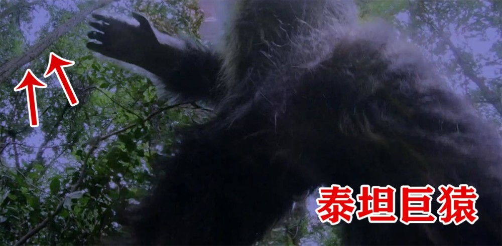 斗罗真人版5位封号斗罗登场泰坦巨猿身高2米魂环像呼啦圈