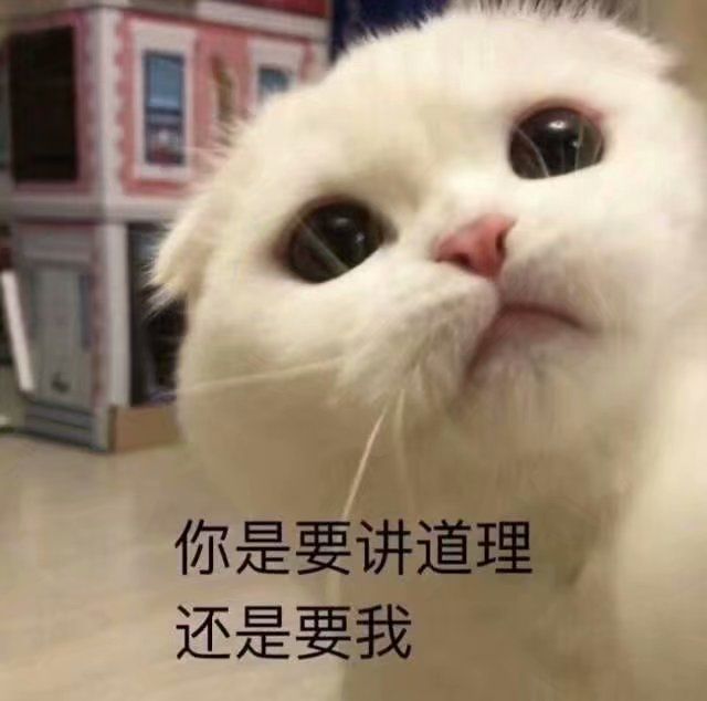 可爱猫咪表情包2