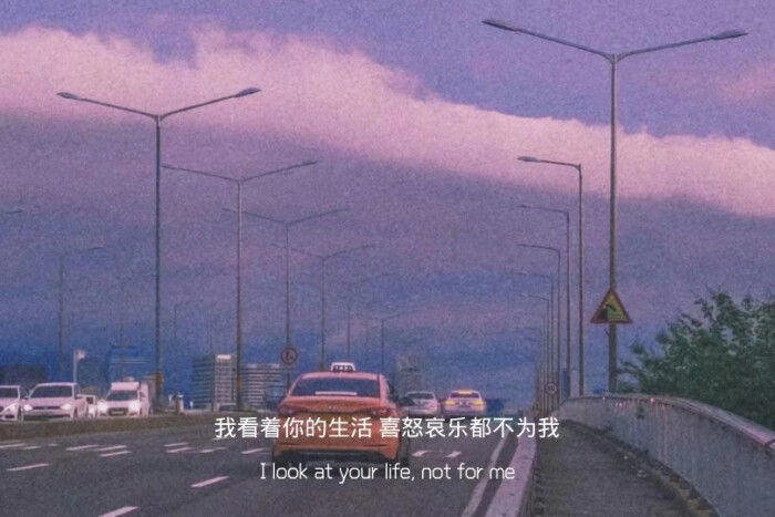 网易云那些令人催泪的热评
