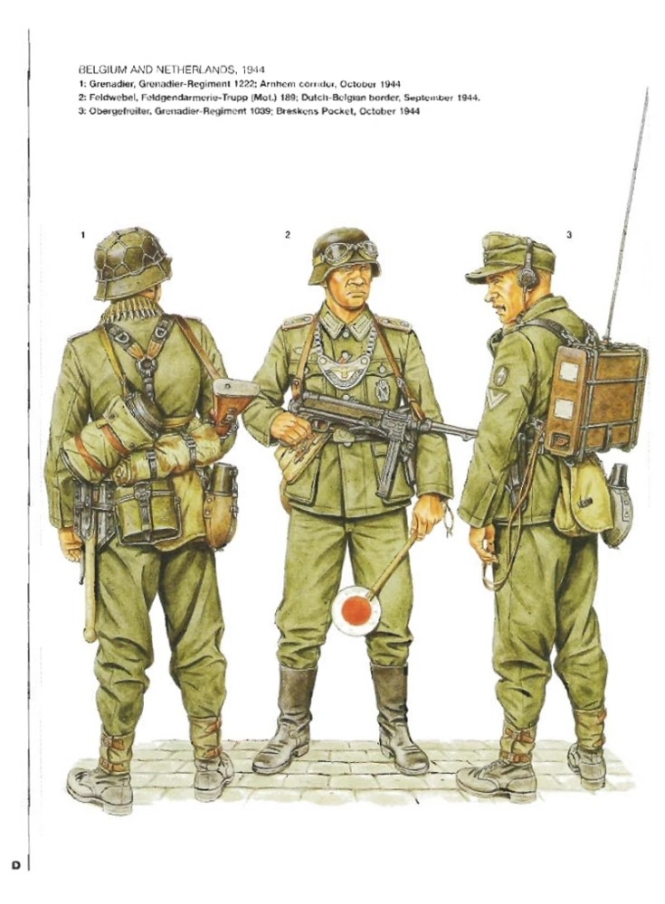 二战德军军服和单兵装备详解(西线1943—1945),怪不得