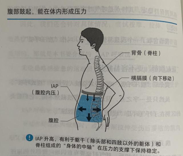 腹压 腾讯网