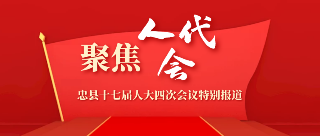 【聚焦·人代会】陈强:共担新使命 共绘新蓝图