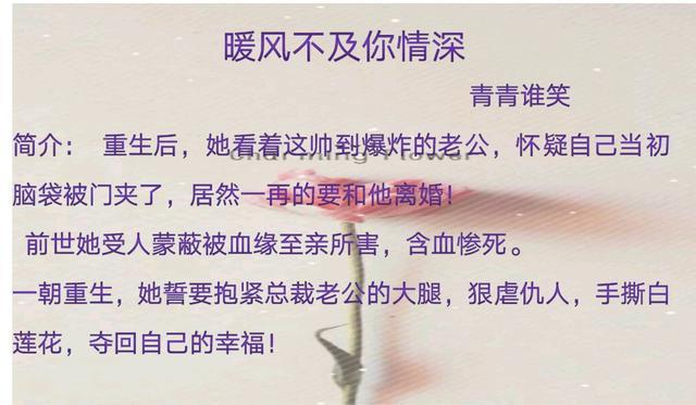 《暖风不及你情深》青青谁笑[强烈推荐]书评:不要被名字劝退哦,双洁