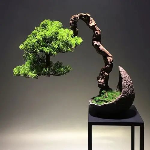 随手捡来的石头,配上一竹一菖蒲,十步骤完成禅意盆景