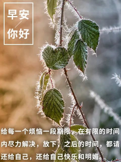 早安语录分享 早安心语图片分享