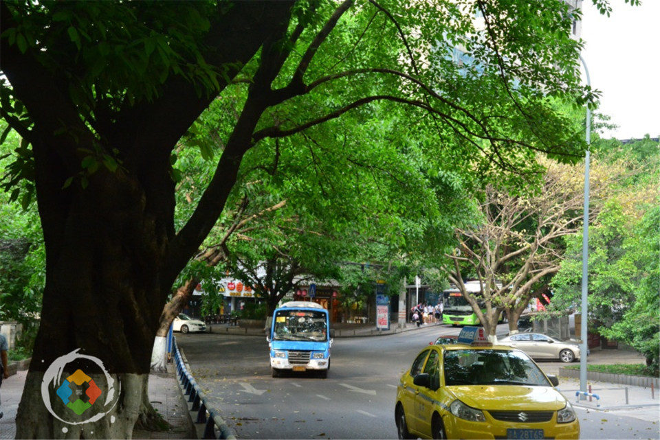 重庆人均GDP内陆第一_重庆GDP超越天津,为什么说这是一种必然(3)
