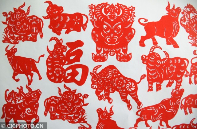 2月5日拍摄的河北省邯郸市磁县民间剪纸艺人殷玲玲创作的牛年剪纸作品