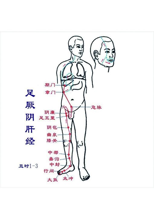 足厥阴肝经起于大趾背丛毛部,循行方向是从脚到胸,上接足少阳胆经,下