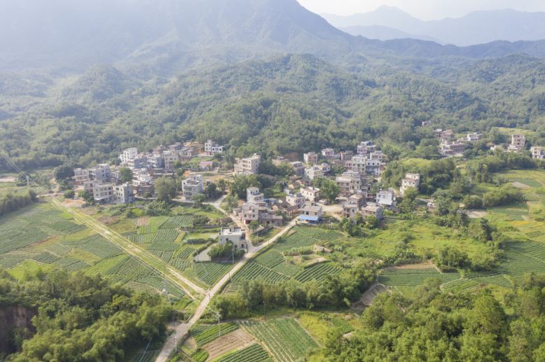 美丽乡愁乡村绿化美化连载广东里平村