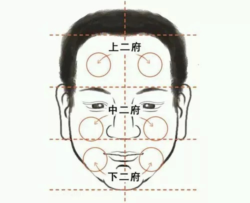 面相六府图 《灵台秘诀》云:上二府自辅角至天仓;天苍峻而突起,此人多