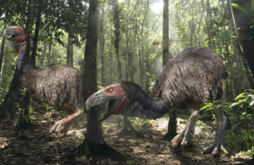 五大史前生物:比恐龙可怕,令人望而生畏的终极掠食者!