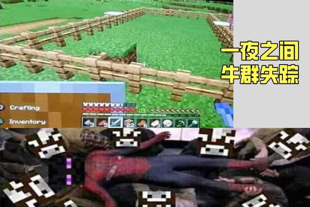 我的世界:7张mc老玩家自制的神梗图,萌新看不懂,鱿鱼让人失望