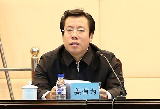 由沈阳市长转任辽宁副省长的姜有为,分工明确