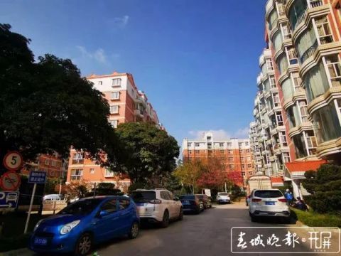 人口普查小区图_人口普查