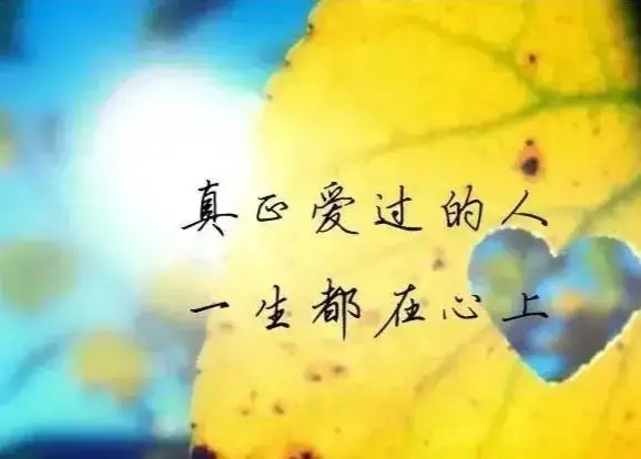 秋风扬,相思长;所爱的人身在远方,想念的人满心忧伤