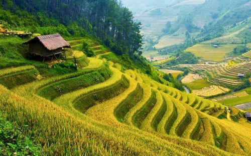 田野风景背景图片