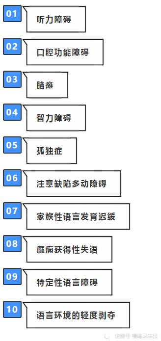 人口普查传导顺序_心脏心电传导顺序动图(2)