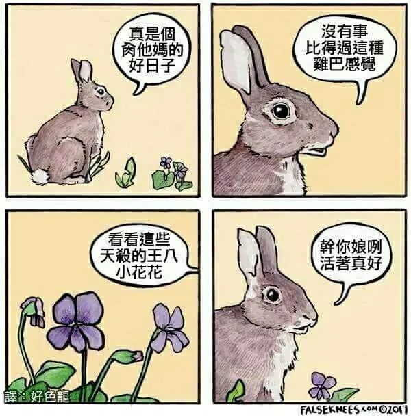 暴躁小动物四格漫画!