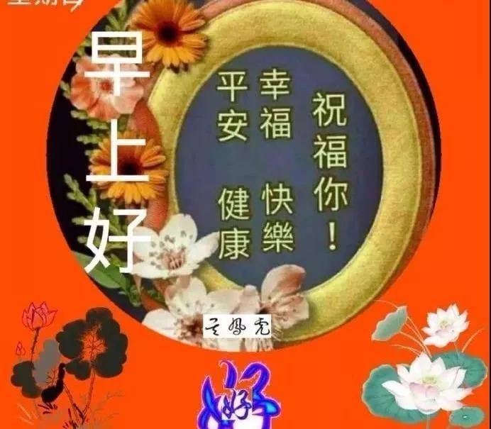 朋友圈早安问候语图片带字,最美群发清晨早安问候祝福