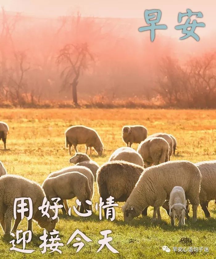 早安图片带字 早安祝福语大全
