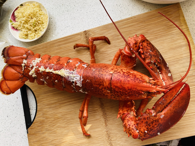产于塔州,南澳州,维州和新西兰的南方岩龙虾是世界上最鲜活的海鲜市场