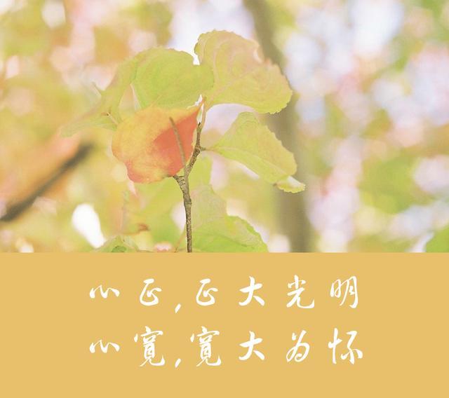 屋宽,不如心宽;身安,不如心安