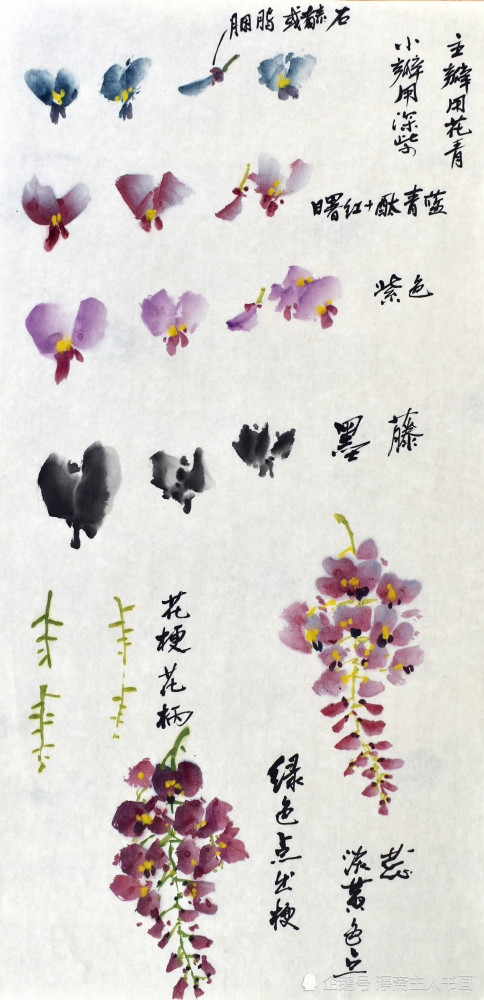 紫藤花国画技法