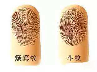 教你看女子有福气手相