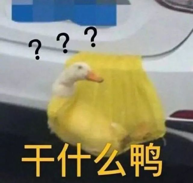 表情包:围观戏精