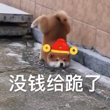 表情包:给您拜年啦