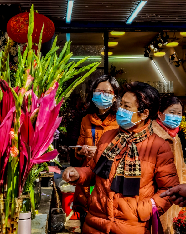 球场路花鸟市场,搬一盆年宵花回家.