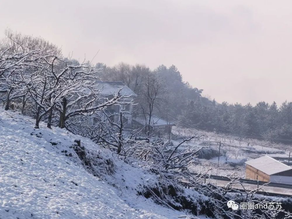 天地一色,好似童话世界中厚厚的白地毯--冬季乡村美景雪景手机摄影