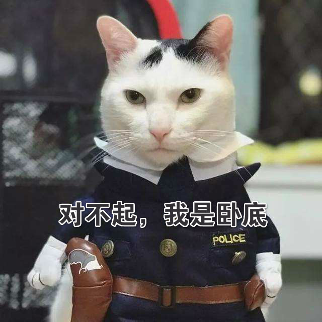猫学会开门后,直接把人逼疯了