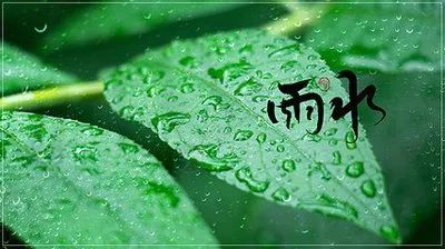 雨水节气精辟文案 愿你雨水心情畅,美景在前无忧伤!