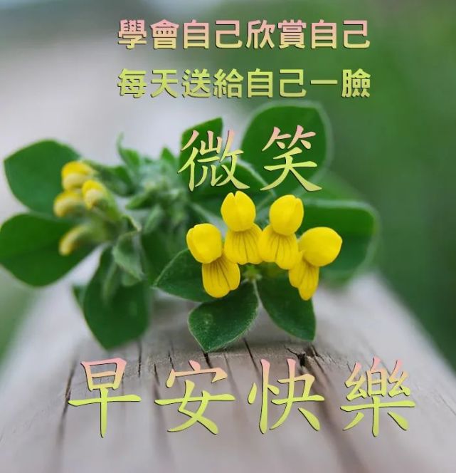 早上好祝福语大全 早上好祝福您