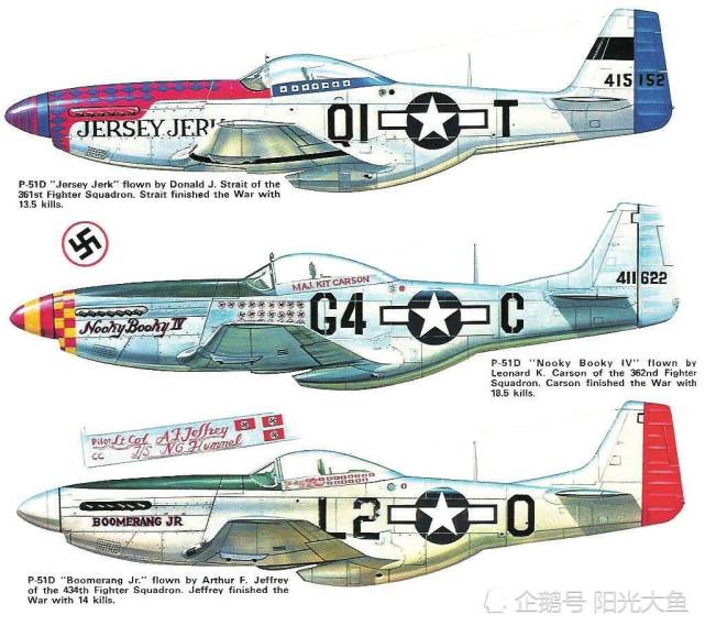 二战美军战机1-p-51"野马"战斗机