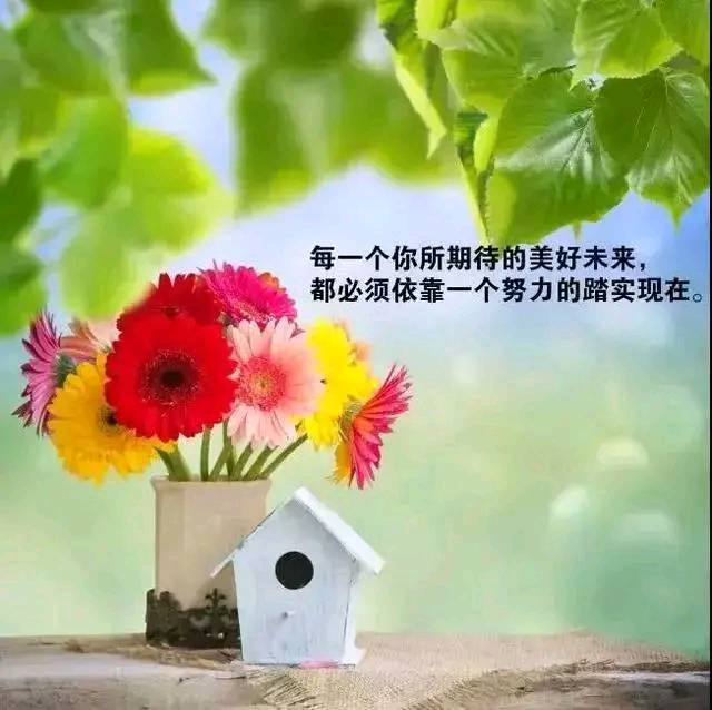 2021年致自己图片,20201致自己图片 2021年致自己的话,优雅气质,一眼爱上
