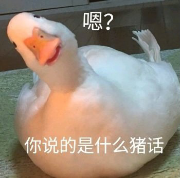 表情包:有事吗?老阿姨