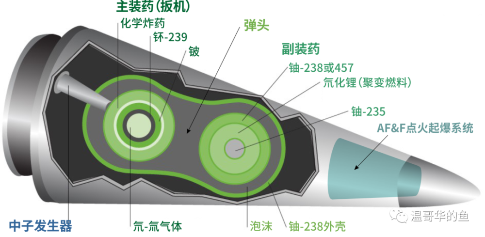 rv内部结构,外型像颗花生的绿色部分才是核弹头,头锥前部装有af&f