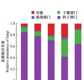 数学建模预测中国GDP_数学建模中 定量分析评价 怎么做的(2)