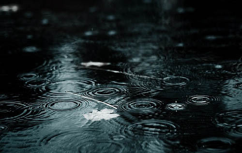 蒙蒙细雨唯美句子 看着窗外的细雨的句子 毛毛细|雨水