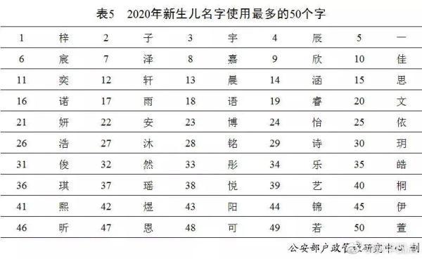 公安部 2020 登记出生人口_2020公安部新式警服