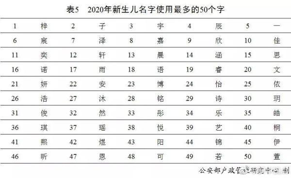 公安部 2020 登记出生人口_2020公安部新式警服